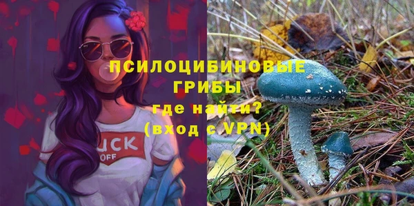 экстази Алексеевка