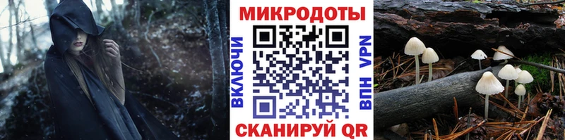Галлюциногенные грибы ЛСД  наркошоп  Козловка 